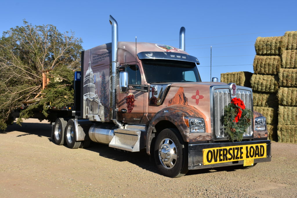 2019 U.S. Capitol Capitol Christmas Tree