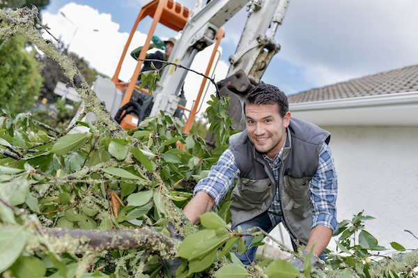 Man working with hedge cuttings